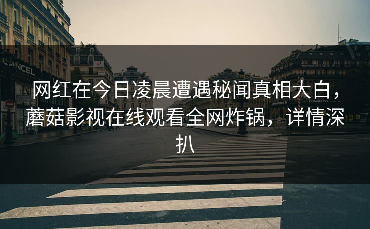 网红在今日凌晨遭遇秘闻真相大白，蘑菇影视在线观看全网炸锅，详情深扒